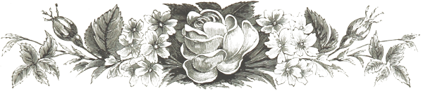 ライン画像